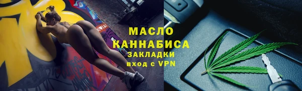 дмт Лабытнанги