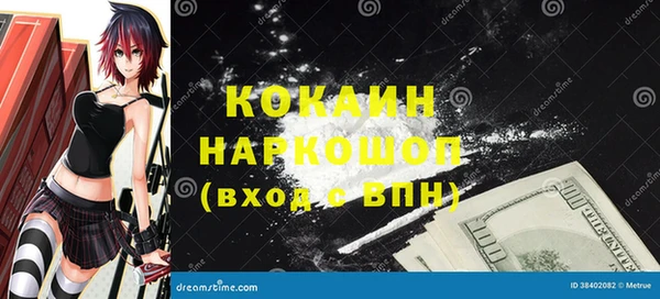 стафф Коряжма