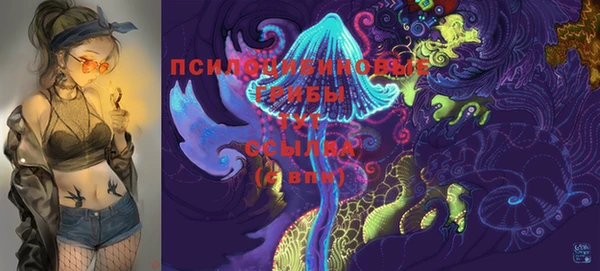 дмт Лабытнанги
