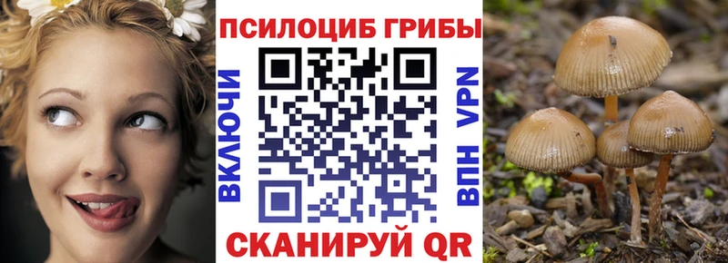 цена Ликино-Дулёво Псилоцибиновые грибы Magic Shrooms